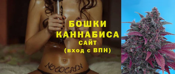 прущие грибы Козловка