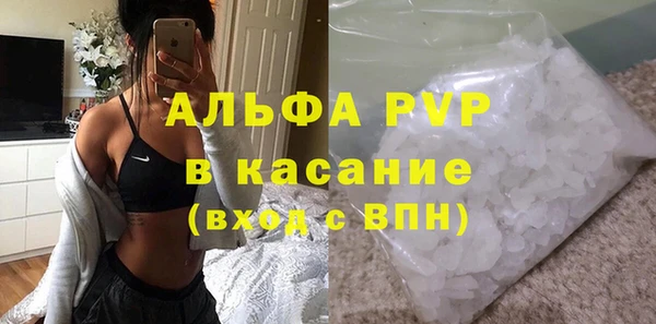 прущие грибы Козловка